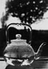 Linda McCartney tea pot image for Women In Photography International 20th Anniverary Exhibition, San Juan Capistrano